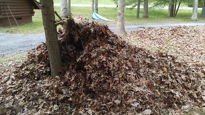 Debris Shelter