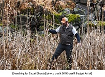 Cattail Marsh