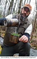 Pine Needle Tea Making